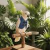 Vintage Style Parrot Costume Adjustable Bird Flight Suit Parrot Dress Up  Pet Party