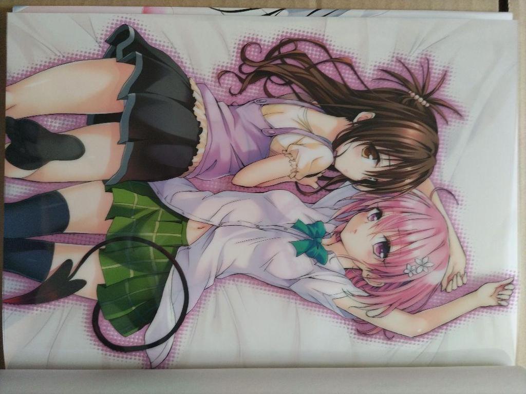 [USED] Collector's Edition To Love-Ru Darkness Art Book Venus