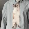 Katzenkrawatte Lustiges Kätzchenmuster Gedruckter Schal Guter Katzenhalsband Nische Fliege