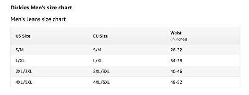 Dickies Fisher Stripe Coverall 4897 XL (Used)
