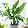 Heavy Duty Garden Trellis Plant for Climbing Plants Rustproof Planter Decorative Flowers Support Potted Monstera Ivy Pothos Flower Vine Growth