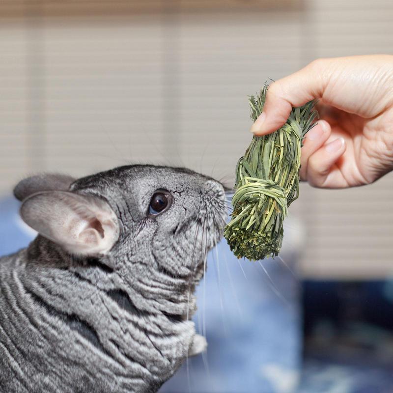 Rabbit Chew Toys For Teeth Chewable Grass Ball For Hamster Gnawing And Teeth Grinding Snacks To Keep Teeth Clean For Hamster