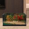 1/64 Scale Backdrop Scene Display with Storage Box Creative DIY Scenic Diorama Lakeside