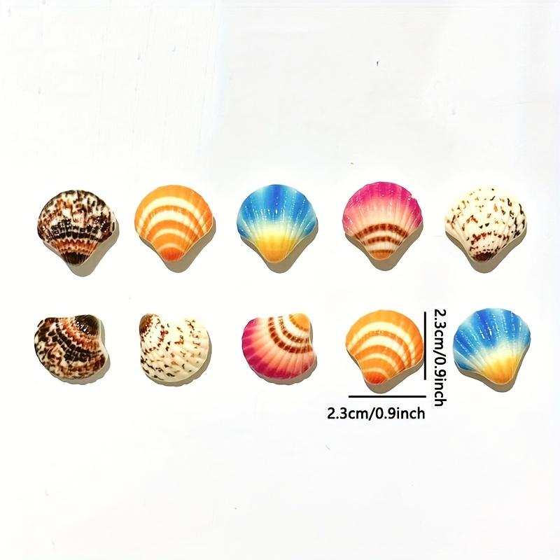 5pcs, Cute Seashell Fridge Magnets, Seaside Seashell Fridge Magnets, Strong Decorative Magnetic Stickers for Kitchen