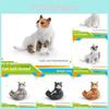 Tierfiguren Kinderspielzeug PVC Realistisches Katzenmodell Mit Sitzender Haltung Für Kinderlernen Und Schreibtischdekoration