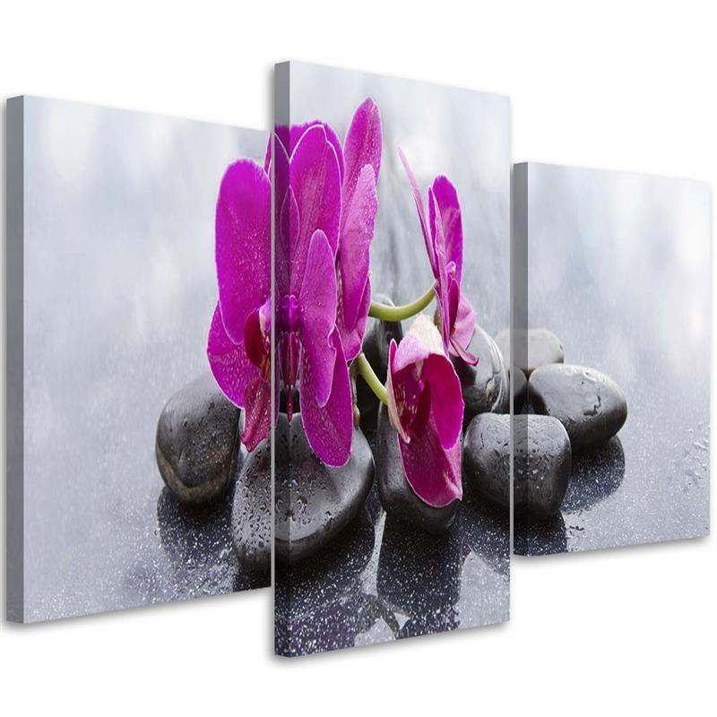 Three Piece Picture Canvas Print Orchid Flowers Stones Purple