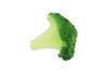 Speed Mao Realistic Broccoli Food Set of 8 Samples,