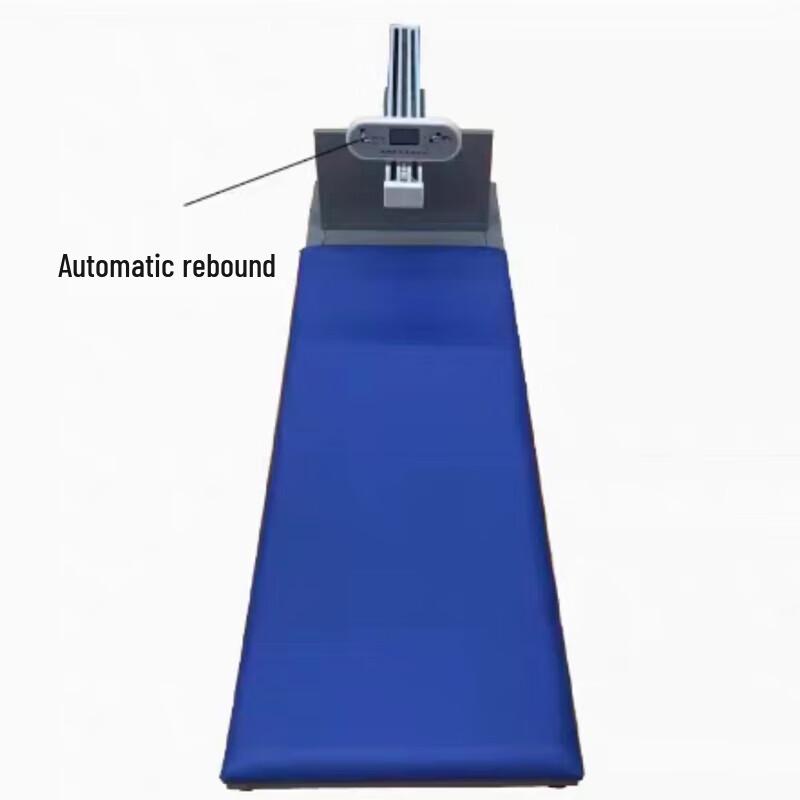 Zizhisheng Electronic Sit-and-Reach Tester