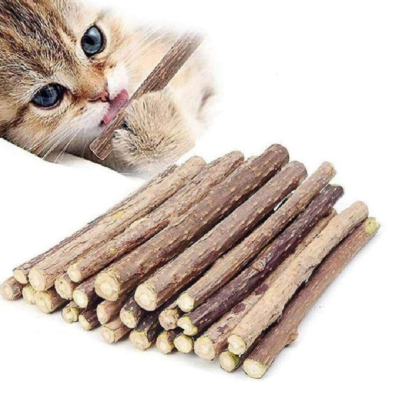 Nip Cat Sticks Dried Natural Silvervine Dental Chew Toy Teeth Clean Toothbrush