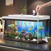 Compact Eco Aquascape: 2025 Desktop Goldfish Tank with Filtration & Oxygenation