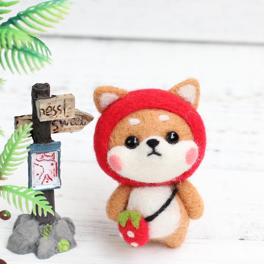 Felting Kit DIY For Beginners With