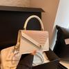 Korean Version of Fashionable Texture Color Matching New Stone Pattern Commuting Casual Simple Foreign Style Crossbody Portable Small Square Bag Woman