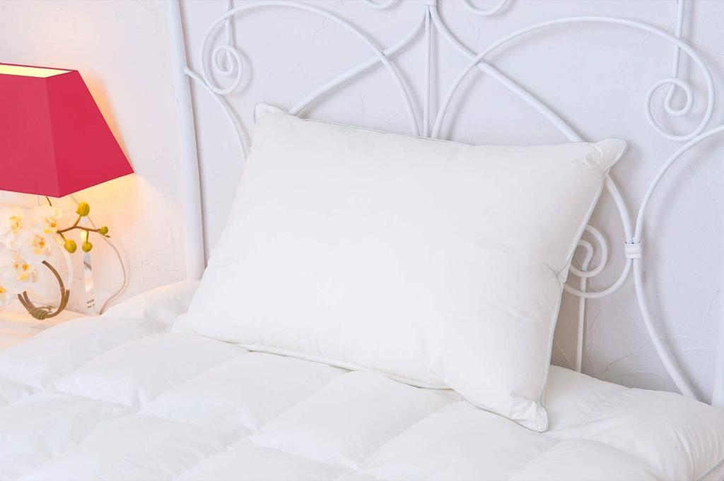 Danfill Fiber Pillow with Premium Satin Pillow Cover, White, Standard Size (JPA221-AKF01G)