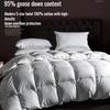 Down Quilt White Goose Down Quilt Winter Cotton Thick Quilt Core Winter Quilt Warm Cozy Cashmere Duvet Quilt Core Winter Quilt