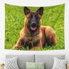 Belgischer Schäferhund Malinois Wandteppich Ästhetische Heimdekoration Wandteppiche für Wohnzimmer Schlafzimmer