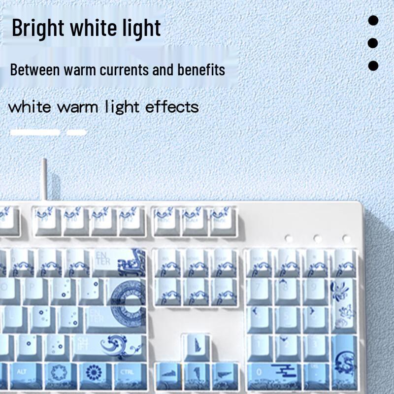 OLOEY Gaming Mechanical Keyboard