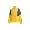 Adidas Jackets Men's Gold Stand Collar Moderate Other GP6402