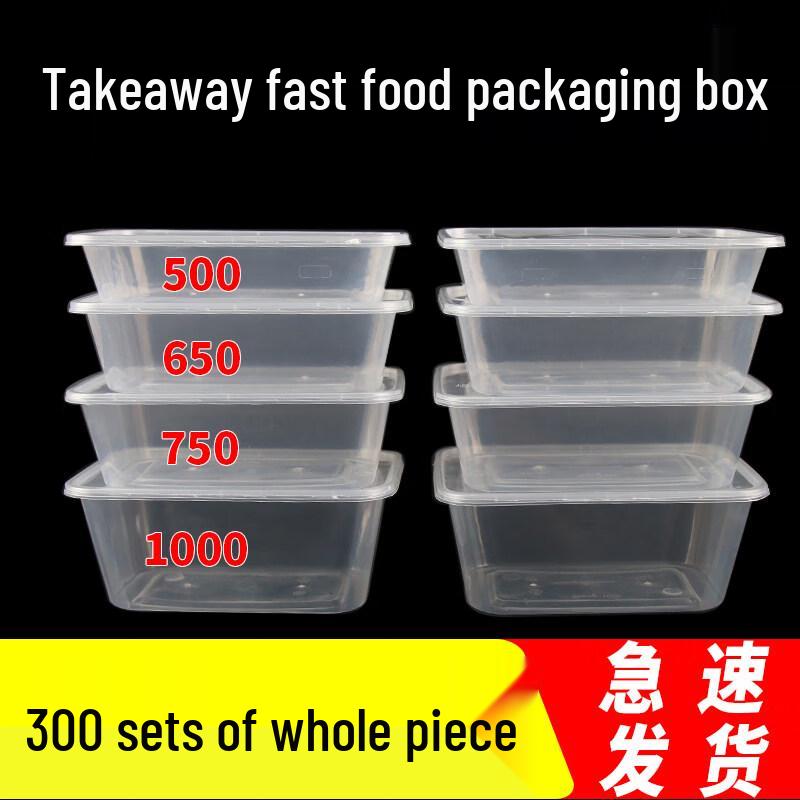 Biaoxing Disposable Rectangular Plastic Food Containers