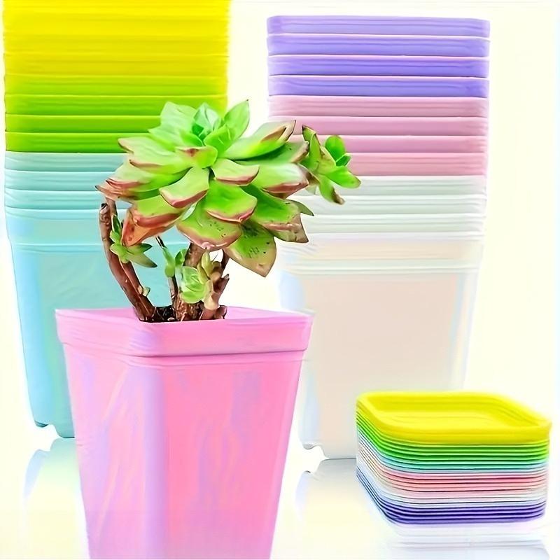 21 Set Vibrant Seedling Containers Colorful Square Plastic Flower Pots for Growing Succulent Plants with Trays Room Garden Decor
