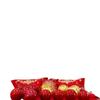 Wedding Bridal Chamber Balloon Set with Double Happiness Bunting and Decorations