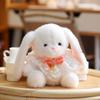 Cute Drooping Ear Bunny Plush Toy Soothing Doll Couple Bunny Birthday Gift