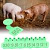 Pig Ear Tag Signs Marking Labels with Numbers for Farm Animal Identification