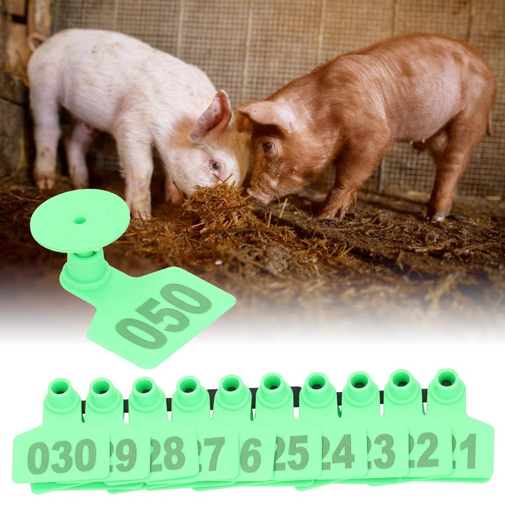 Pig Ear Tag Signs Marking Labels with Numbers for Farm Animal Identification