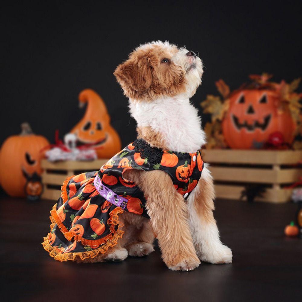 Creative Pet Halloween Dress Pumpkin Pattern Pet Pumpkin Lace Dress  Pet Supplies