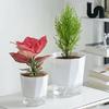 3/6pcs Lazy Hydroponic Flower Pot Automatic Water-Absorbing Flowerpot Transparent Double Layer Plastic Self Watering Planter