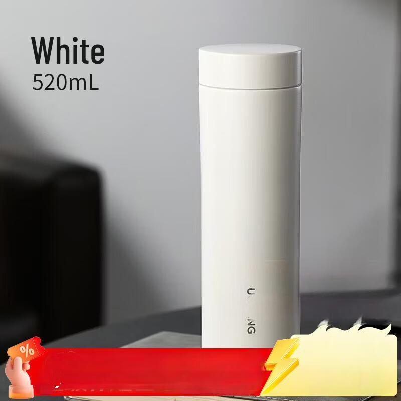 FUGUANG 316L Stainless Steel Insulated Tea Infuser Bottle