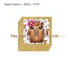 Capybara Theme Birthday Party Tableware: Disposable Plates, Napkins, & Tablecloth