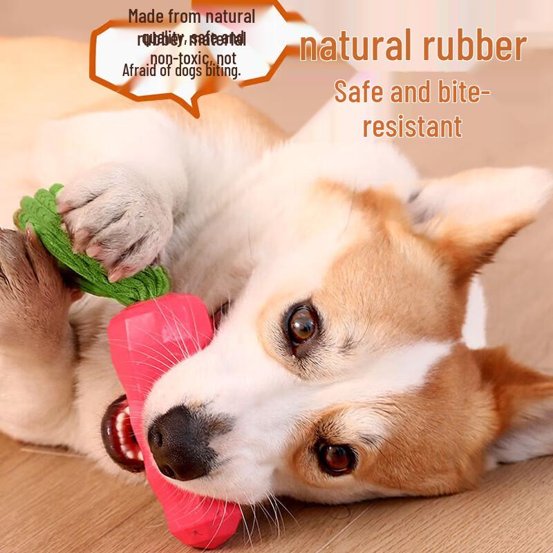 HOOPET Squeaky Carrot Dog Teething Toy
