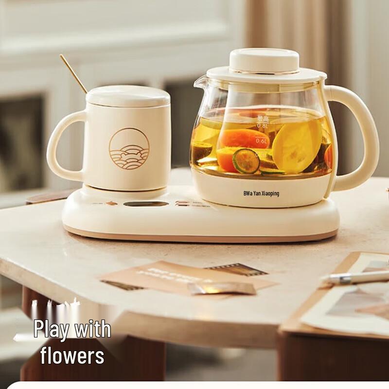 Bear Multifunctional Health Kettle