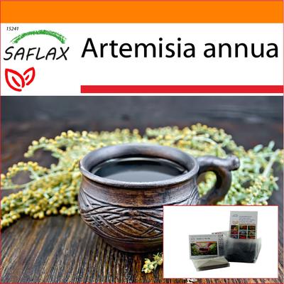 Garden In the Bag - Sweet Wormwood Qing Hao - 250 Seeds - With Substrate In a Fitting Stand Up Bag - Artemisia Annua