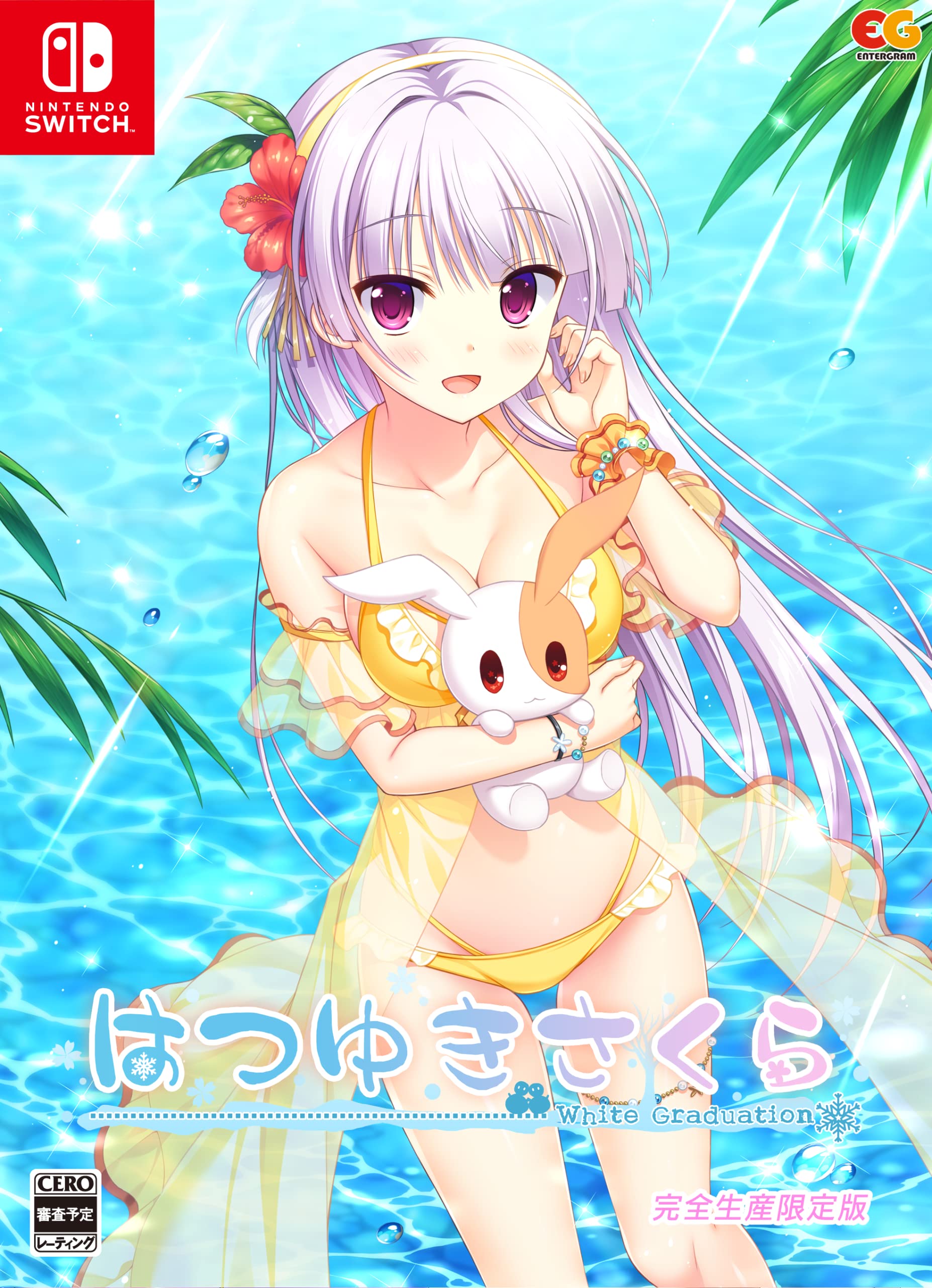 

Hatsuyuki Sakura Limited Edition Switch Acrylic Layer Frame included - [Bonus] (3 layers)