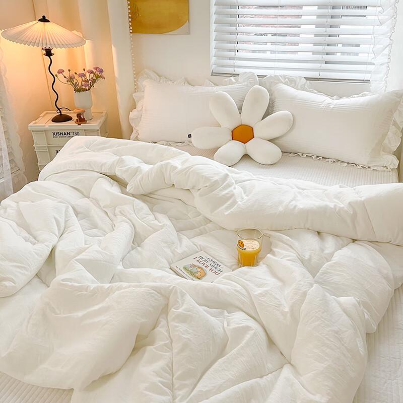 

Snoopy Skin-Friendly All-Season Quilt