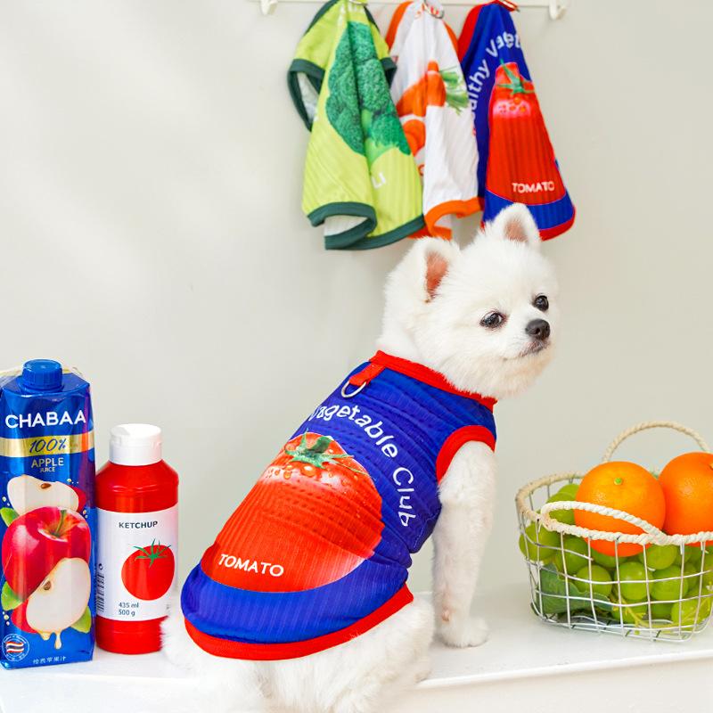 Spring and Summer New Dog Big Dog Bichon Frise Cat and Pet Clothing Cat and Dog Clothes