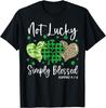 Not Lucky Simply Blessed Christian St Patricks Day Irish T-Shirt