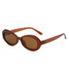 Retro Oval Sunglasses Vintage Classic Women Men Luxury Brand Designer Sun Glasses Fishing Travel Driving Man Lady Eyewear UV400