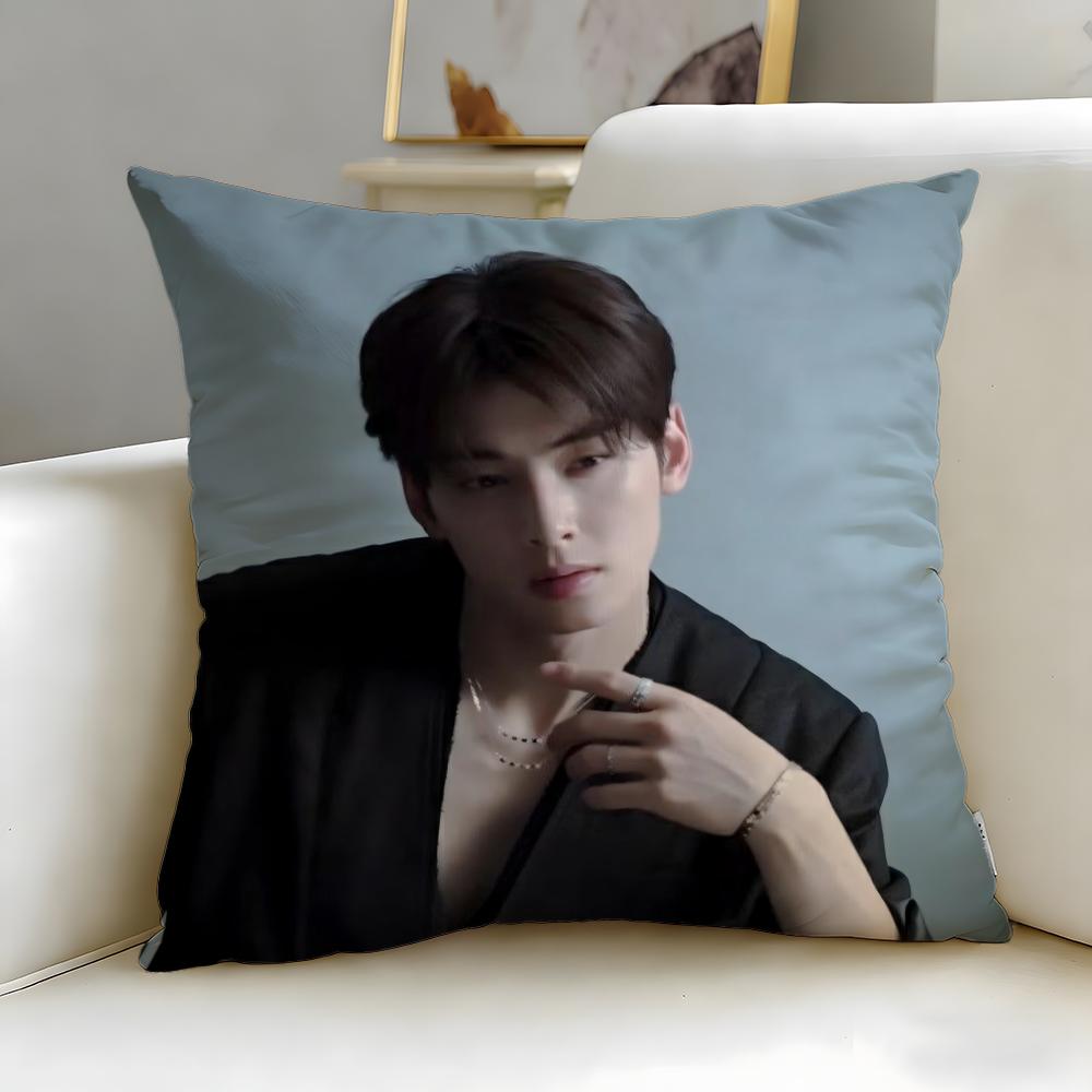 popular actor Cha Eun Woo Cushion Cover Soft  EasyWash Pillow Case  Versatile for Couch Bed Travel and Office