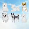 Transparent Dog Hair Collection Pendant Bichon Husky Corgi Portable Dog Hair Storage Capsule Gifts Dog Hair Storage Box