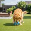 Dog Food Dispenser Football Toy for Pets Interactive Squeaky Chew Ball with Noise Maker and Sniffing Holes for Large Medium Dogs