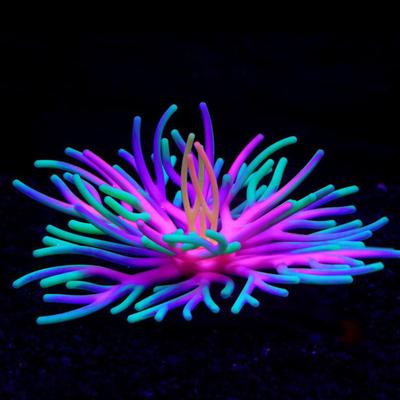 Aquariendekorationen Koralle Silikon Korallenschmuck Für Aquarium Aquariumzubehör Pflanzendekorationen Für Studentenwohnheim Zuhause Hotel