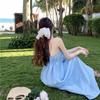 Blue Vacation Suspender Dress Women's Seaside Photo Backless Neck Simple Design French Temperament Long Dress Summer