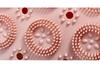 Round Waterproof Anti-Slip Bathroom Mat for Shower, Toilet, and Home