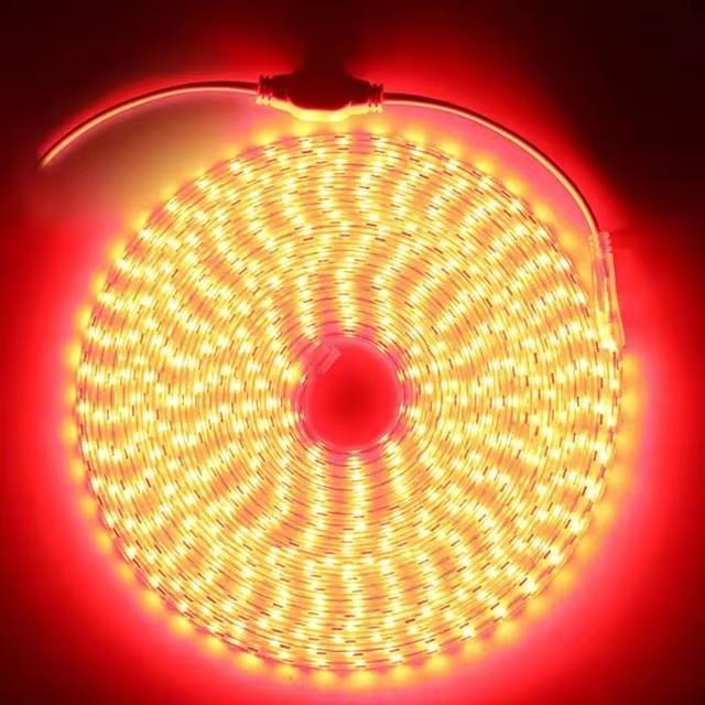 220V Led Strip Light Flexible Ribbon 60leds/m Waterproof Outdoor Led Light Strip Decorative Lights with EU Plug 1m/2m/5m/10m/20m