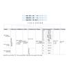 Airtac Type SAI Series Pneumatic standard cylinder SAI32 40 50 63 80 Bore 25s-350s Stroke Double Acting Pneumatic Cylinder