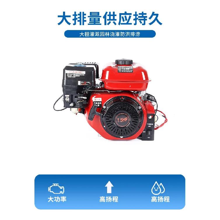 4 Stroke Engine Gasoline Engine Spray Micro Engine Go Kart Pressure Washer Small Power Accessory