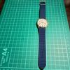 Used TIMEX Carriage Watch, Working Condition, Vintage 90's, With Bonus Item