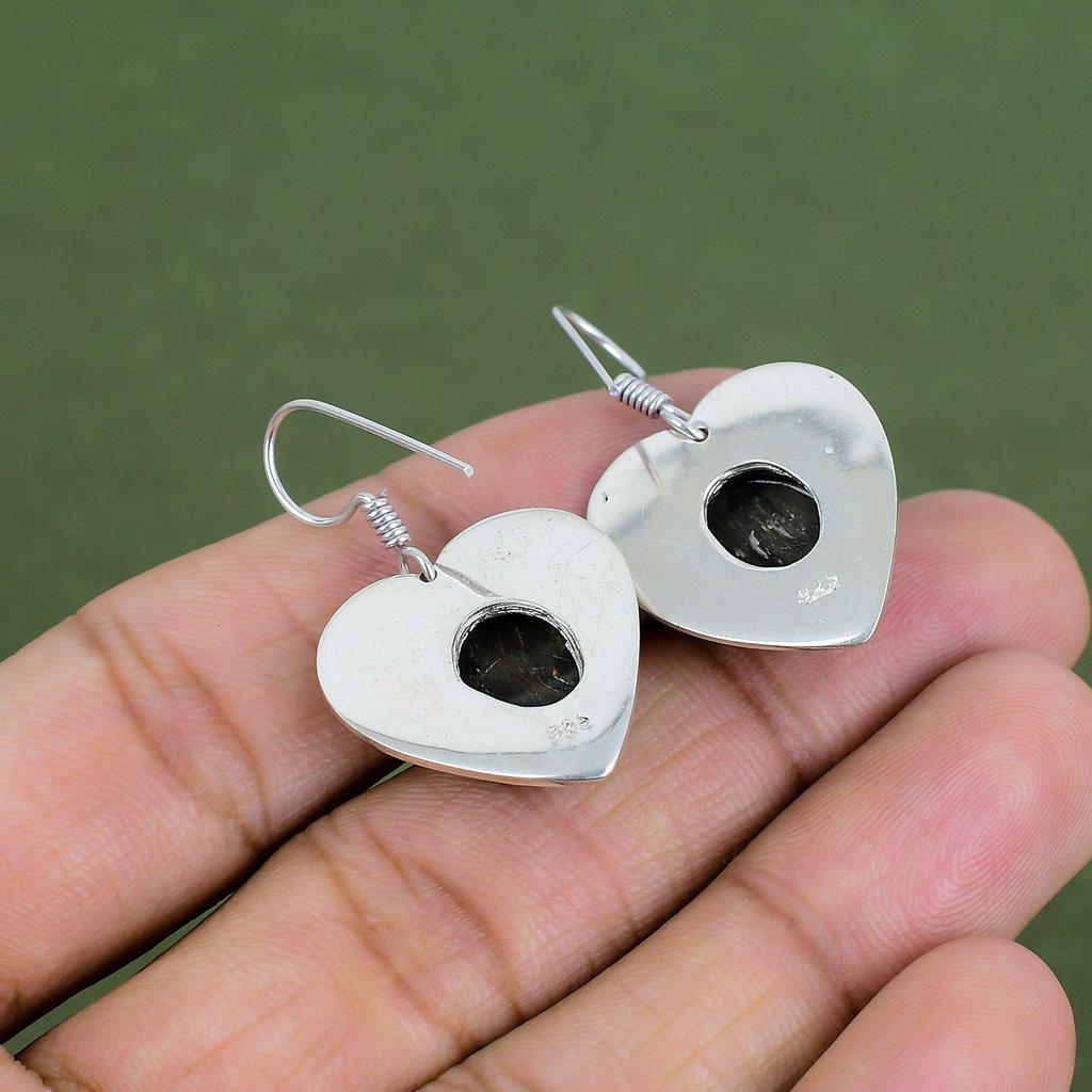 Pietersite Earring 925 Sterling Silver Earring Natural Gemstone Earrings Pietersite Jewelry Handmade Earring Gifts For Mother Silver Jewelry